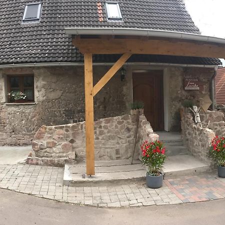 Pension Casa Luciko Brachwitz Exterior photo